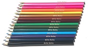 Engraved Colouring Pencils (15)